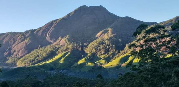 JobySeb89572549's tweet photo. Greetings!!!!
Have a good day!!!!!!!!

#travelphotography
#travelblogger #travelblog #Tourism #Kerala #Munnar #Keralatourism  #instagood #IncredibleIndia  #Keralatourism  #munnarresorts  #exploremunnar  #GooglePhotos #photography https://t.co/nbRTvIMv1B