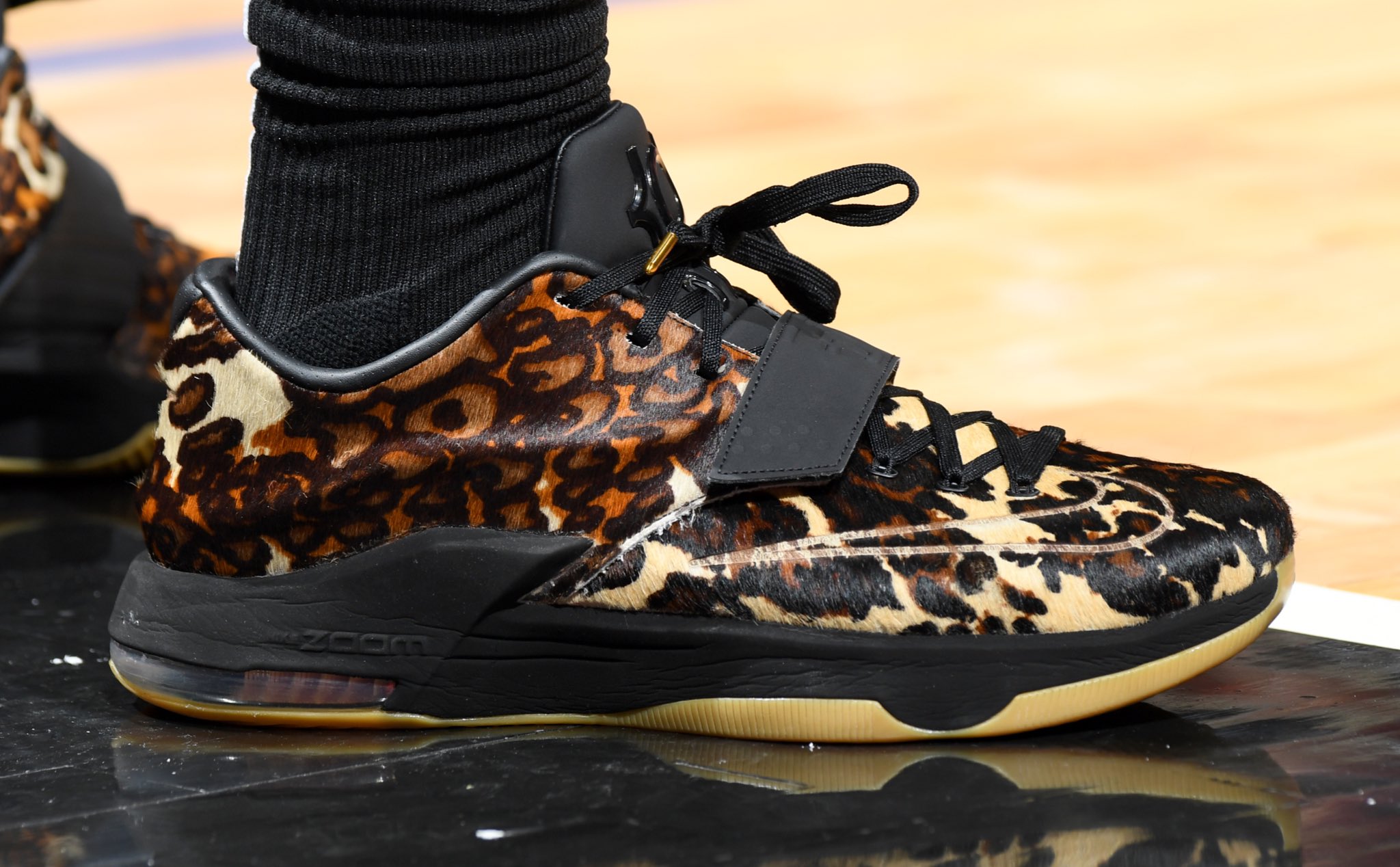 kd 7 longhorn state