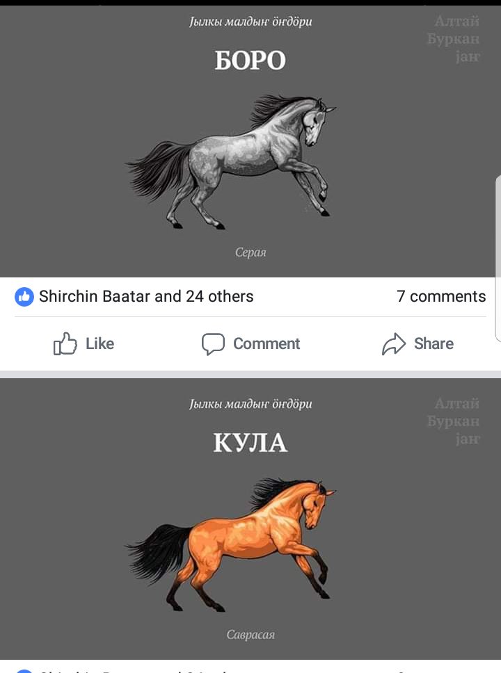 Алтай хэлээр морины зүс гэнээ. Нээх танил болоод явчих чинь ккк