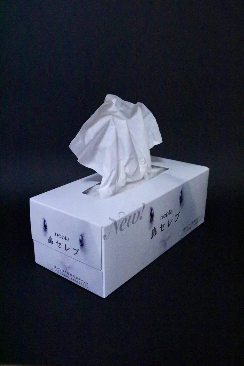 花粉症の季節・・・花セレブで作った工作がかわいすぎ！！