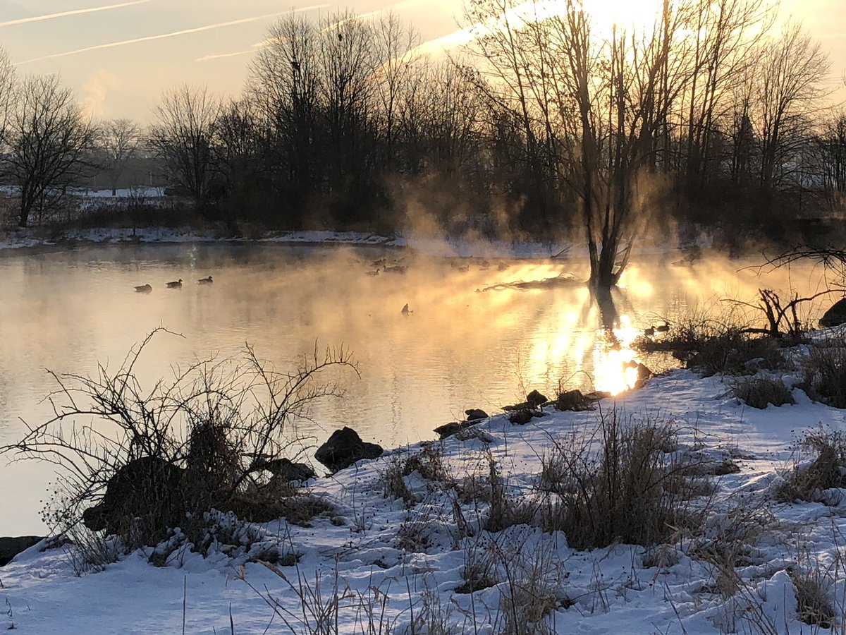 Keep close to Nature's heart... and break clear away, once in awhile, and climb a mountain or spend a week in the woods. Wash your spirit clean. 
John Muir

#snow #snowcovered #winter #morningmist #palife #pawinter #pennsylvania #pennsylvaniabeauty #pennsylvaniabeautiful