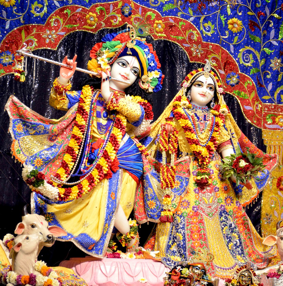 ISKCONPune's tweet photo. Today's 09/03/2019 Darshan of Sri Sri Radhavrindavanchandra
#ISKCON #PUNE #DailyDarshan #EarlyMorning #Krishna #09March #temples #worship #Blessings #BestofTheDay #realbeauty #StayBlessed
For more Photos: https://t.co/QQnZUBIn6k …
Temple Timings https://t.co/qb3IYoWWnF https://t.co/RASZra4Fru