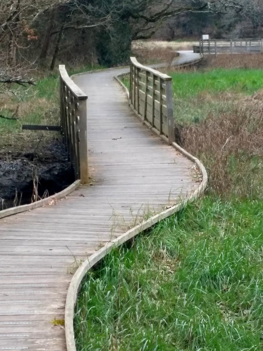 BRETAGNE / Lanester

L'égoïste n'est pas celui qui vit comme il lui plaît, c'est celui qui demande aux autres de vivre comme il lui plaît ; l'altruiste est celui qui laisse les autres vivre leur vie.