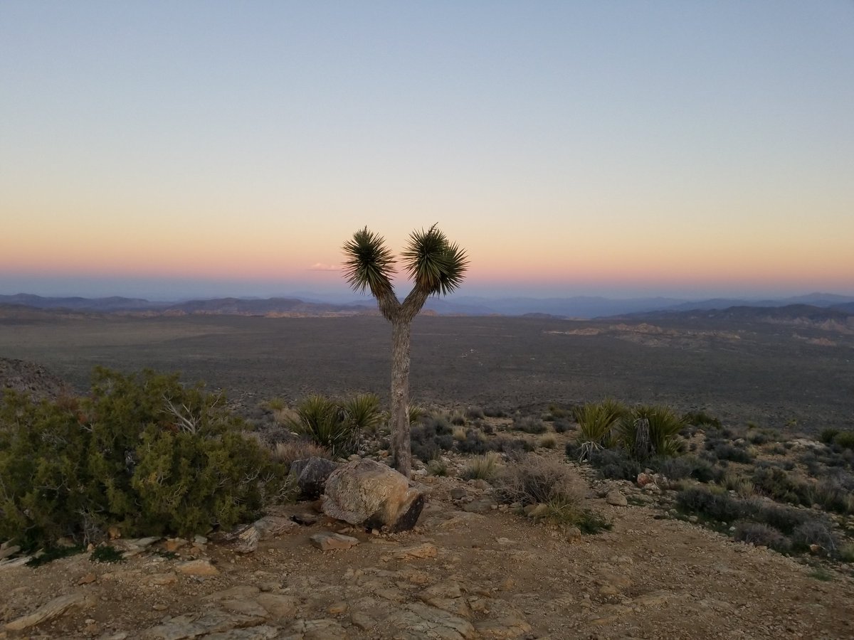 Ian Grasshoff tweet media