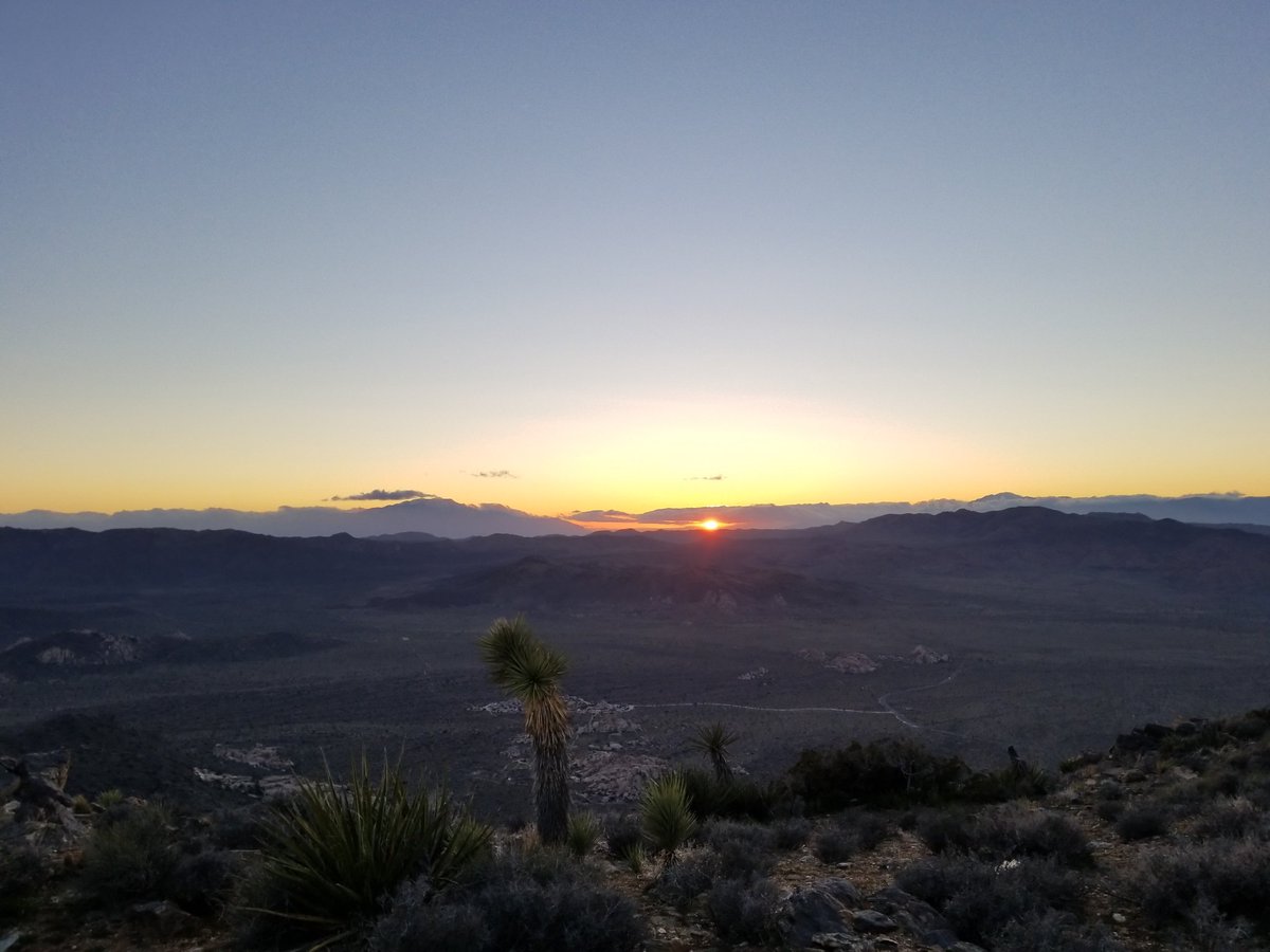 Ian Grasshoff tweet media