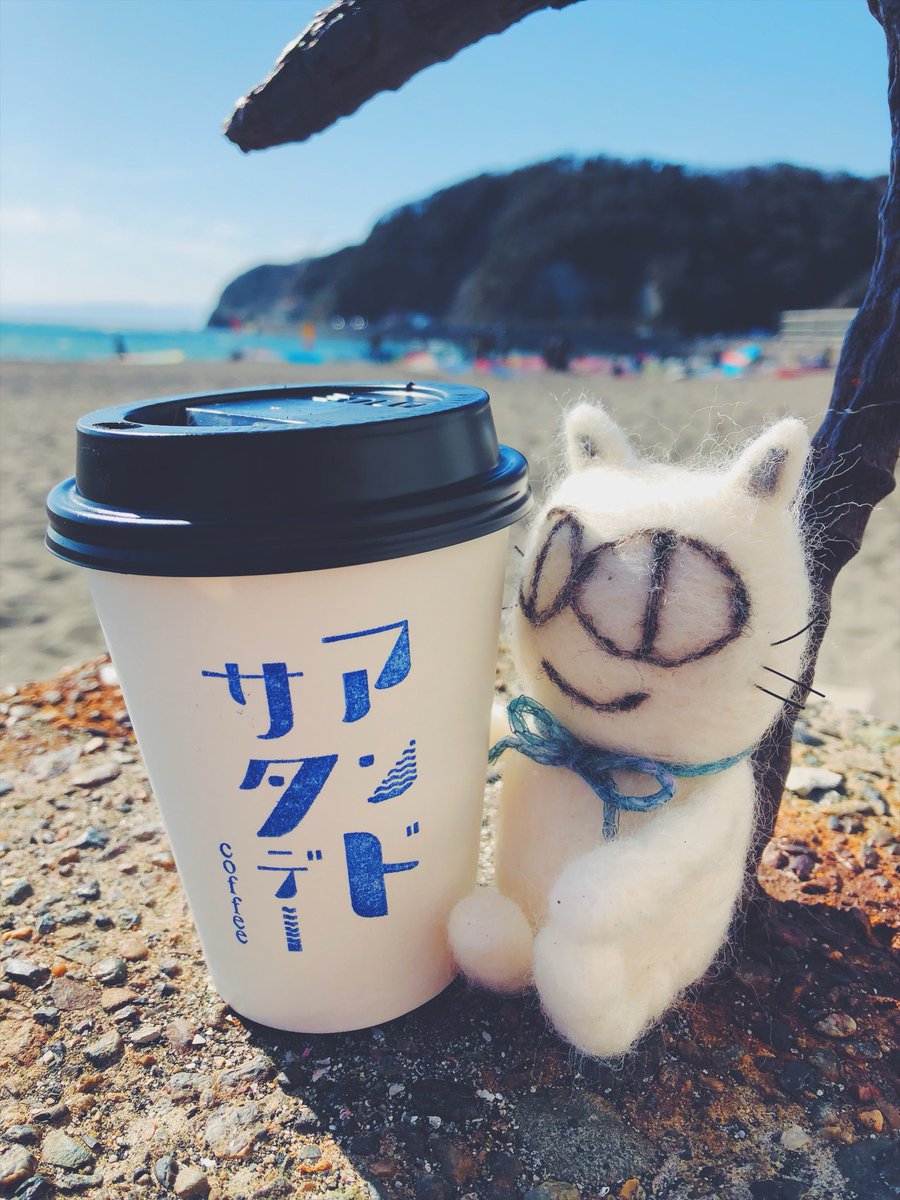 EASYCAT7's tweet photo. 今日はおしゃれして（青いリボンだよ☻）外の世界に遊びに来たよ
「アンドサタデーcoffee」は土曜日だけオープンしてるコーヒー屋さんだよ☕️
逗子の海も綺麗だね☻
#ネコ #ねこ好き #cat  #easycat #イージーキャット #サンデーマート #鎌倉 #江の島 #kamakura #enoshima #アンドサタデー #逗子 https://t.co/vsFAV8ayk3