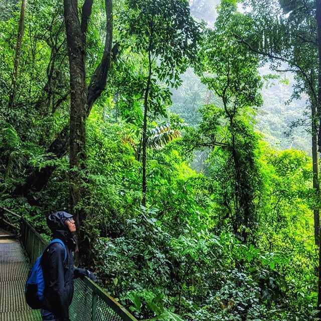 Portia 🌿 | Travel Writer tweet media