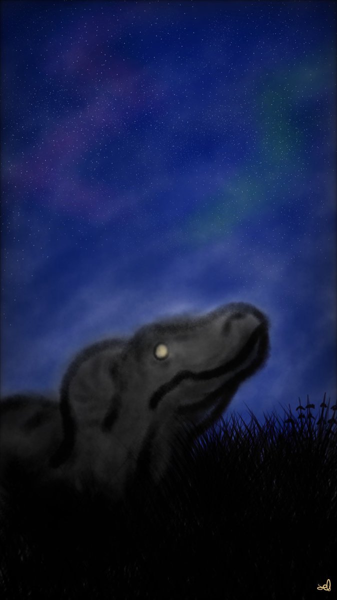 Solidraws's tweet photo. Rex in the night! #artist #art #dinosaur #digitalpainting #digitalart #theisle https://t.co/i81sJtVGeb