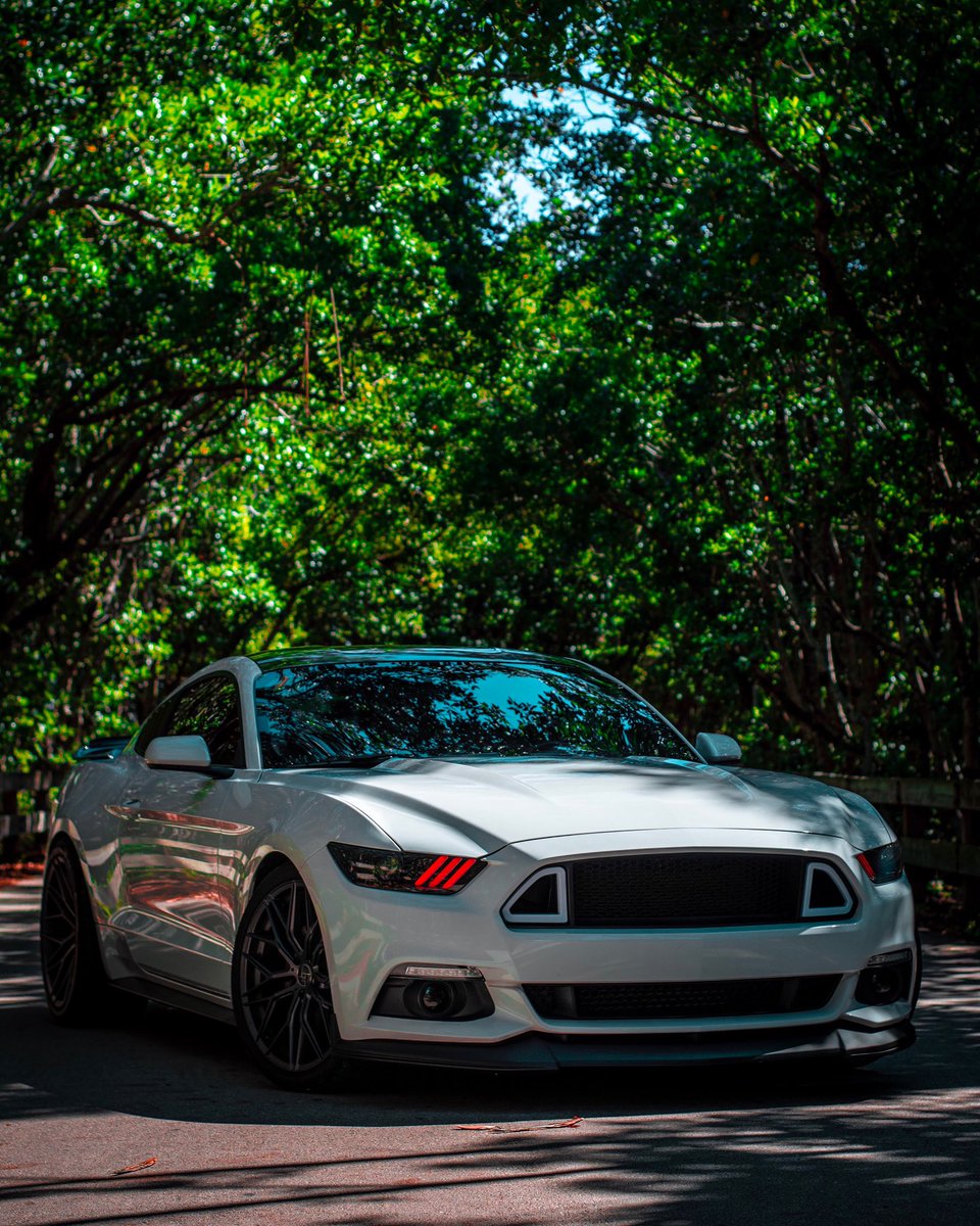 13_Oscarr's tweet image. Trying to blend in 💤