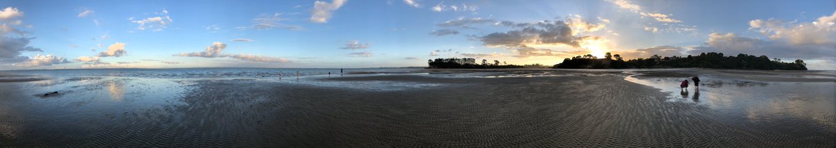 thomcochrane tweet media