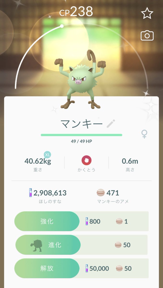 マンキー色違い