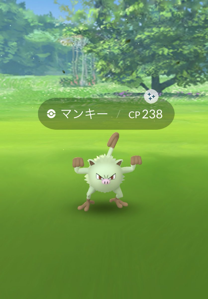 マンキー色違い