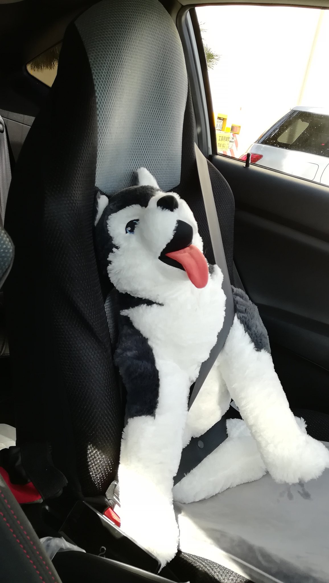 Mx この間サメ買おうかとikeaいったら在庫僅少とある物の見つけられなかったので代わりにハスキーとバーニーズのぬいぐるみ を買ってそのまま助手席に積んだままになってる T Co Waspwxm5s6 Twitter