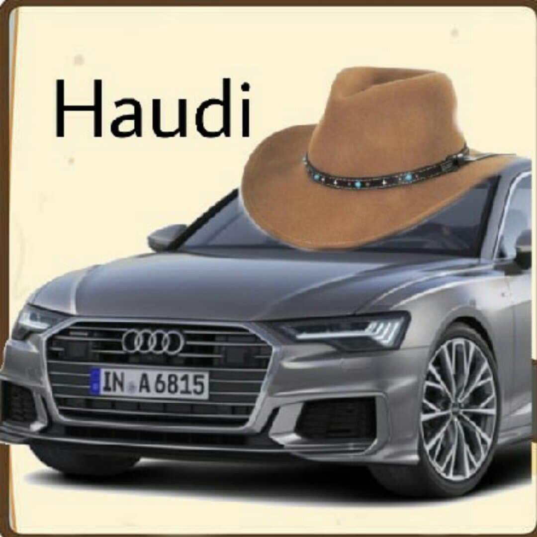 Haudi