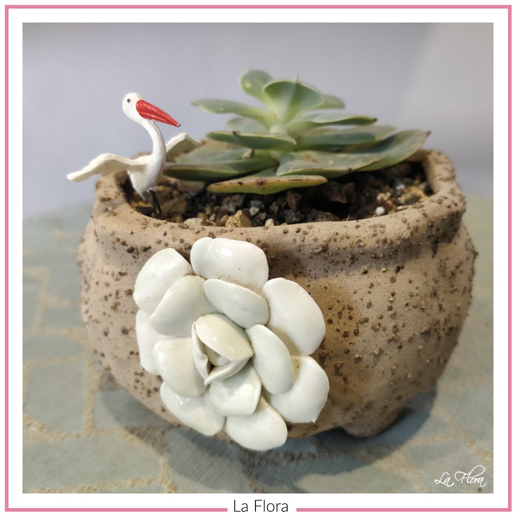 Cute succulent pots to make your office desk more lively!

DM us to know more!

#succulents #cutepot #succulentlove #succulentlovers #plantlover #succulentforsale