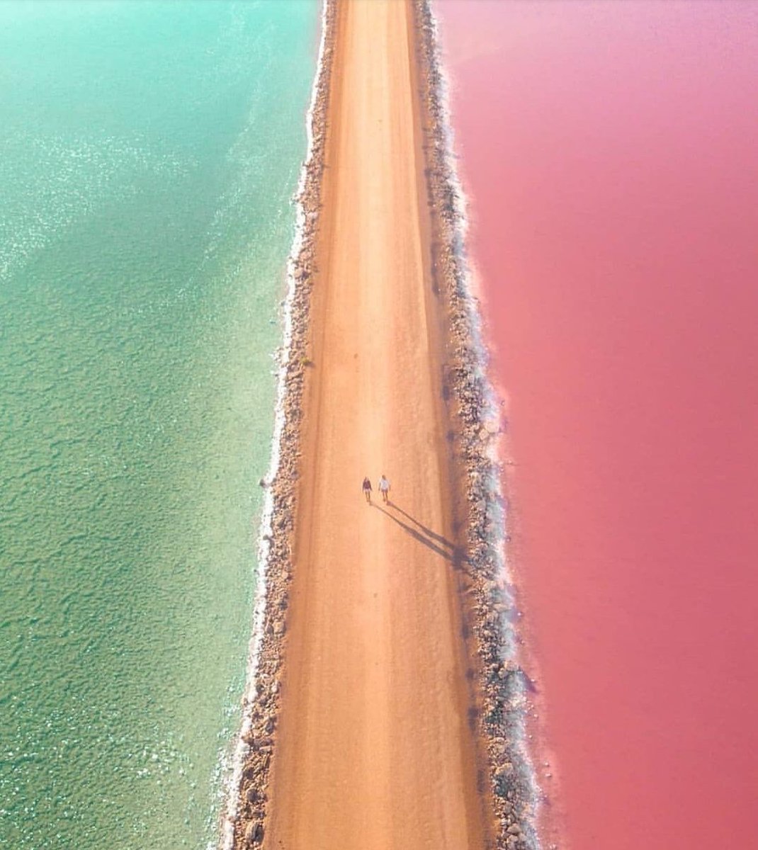 Amazing Catcus beach in Australia.

#Australia #catcusbeach #australiascoralcoast