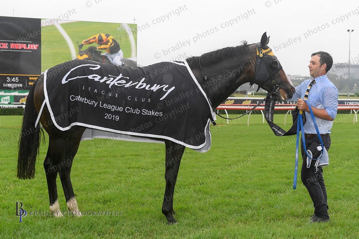 Sam Phillips tweet media