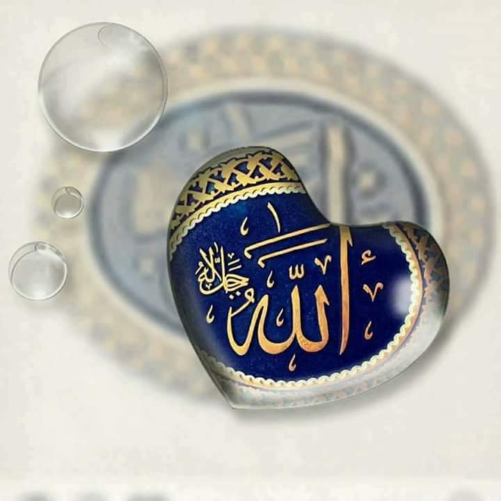 namlibey2's tweet photo. ELHAMDULİLLAHİ RABBEL Âlemin 
Vesselatu vesselamu ala eşrafil enbiya vel Mürselin ⚘⚘⚘
Seyyidina ve Mevlana muhammeden ve alihi ve sahbihin ecmain ⚘⚘⚘
Esselatu vesselamu aleyke ya Resulullah 
Esselatu vesselamu aleyke ya Habibullah

#Haftasonu https://t.co/Re0rFYu3DS