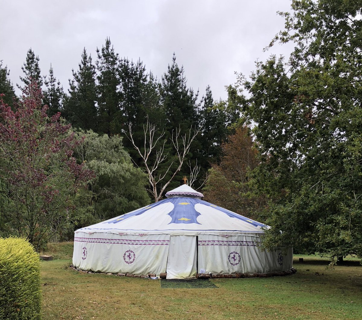semicondurian's tweet photo. Aroha Valley Yurt 

@EHFNewZealand Edmund Hillary Fellowship, the things happening in this yurt are #neklevel

💠💜🇳🇿 https://t.co/CT4BPahKri