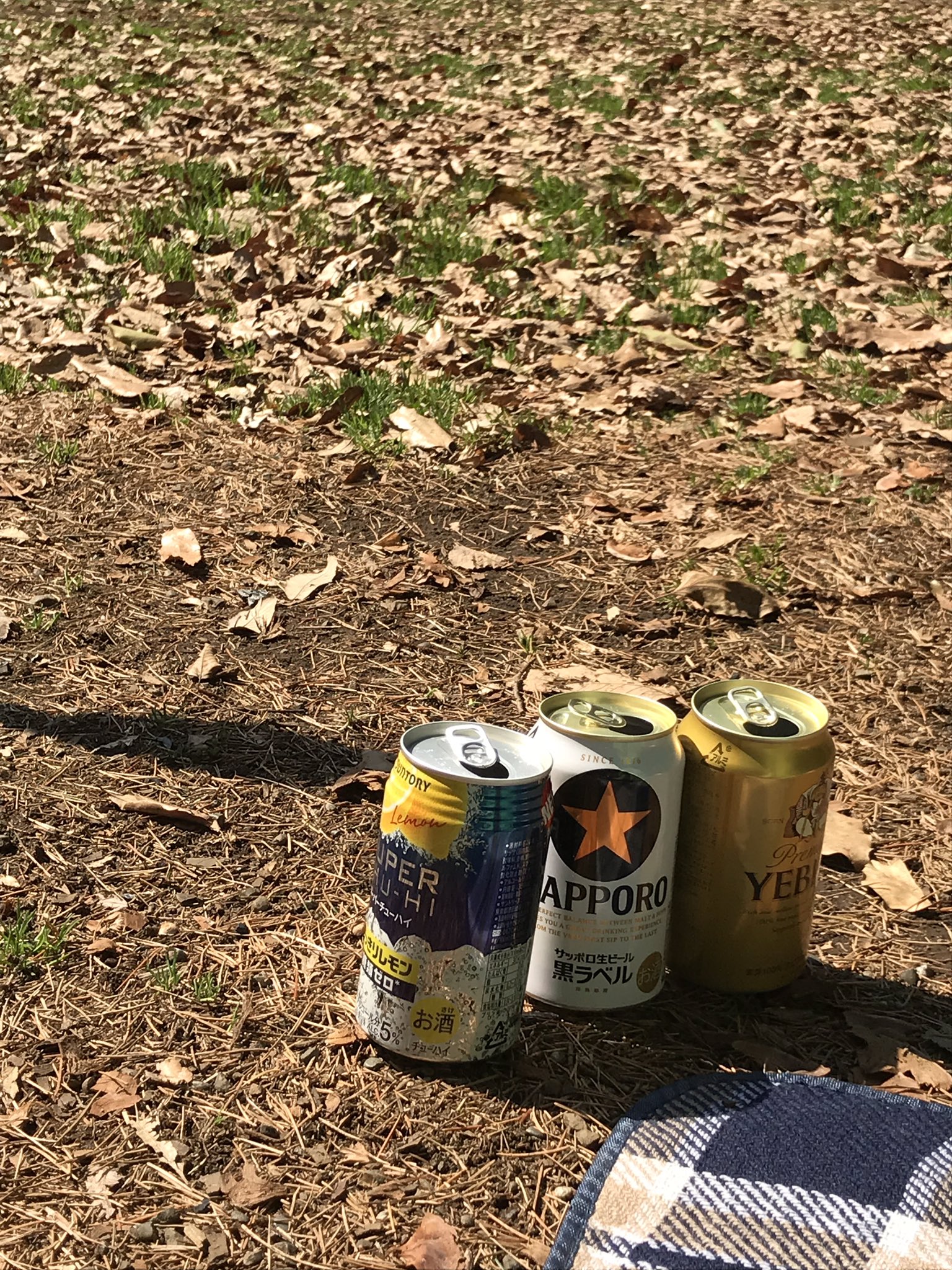すも 野川公園バーベキュー 野川公園のバーベキュー広場は 予約は必要だけど 無料で利用できます 駐車場有り 受付管理棟には綺麗なトイレ 売店では生ビールやおでん 各種サワー軽食あり ヒマラヤ杉に囲まれた広場が バーベキュー場です