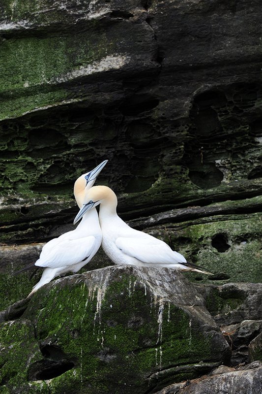 Sea Pictures Gallery tweet media