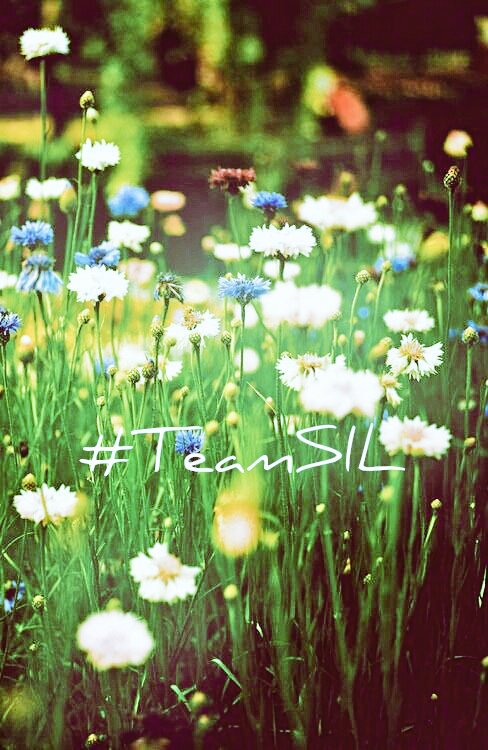 _to1love's tweet photo. @Emyr1988 @shah_aajiz @666_alhlwan @saleh_1964 @DE_SILVIA_T @SimplesmenteSyl @V2_N_St0 @GerxCarp_ @nealhailey @CarlonetCarlo @randialso @nuvisionquestt2 @NilcinhaLee @djavanloure @bellah_duque @HORGLAERT @hortkoff3 @ShaylaZahira @lifeof_didi @Titomara2 ➗#TEAMSIL➗

@saleh_1964
@DE_SILVIA_T💗🔝
@666_alhlwan
@SimplesmenteSyl
@V2_N_St0
@GerxCarp_
@nealhailey
@CarlonetCarlo
@randialso
@nuvisionquestt2
@NilcinhaLee
@djavanloure
@bellah_duque
@HORGLAERT
@Emyr1988
@hortkoff3
@ShaylaZahira
@lifeof_didi
@shah_aajiz
@_to1love
@Titomara2 https://t.co/moaOslcqZC