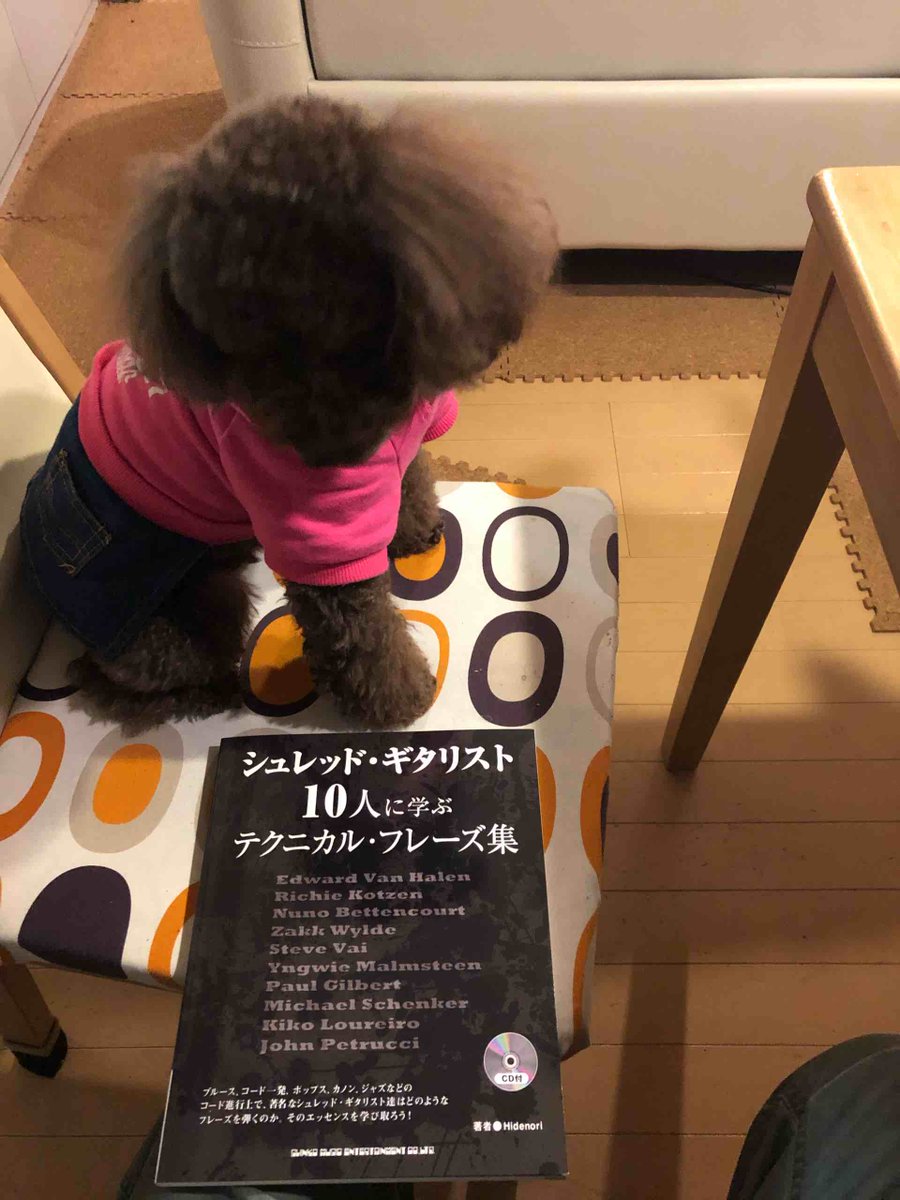 Hidenoriさんの新刊届いた！凄い…