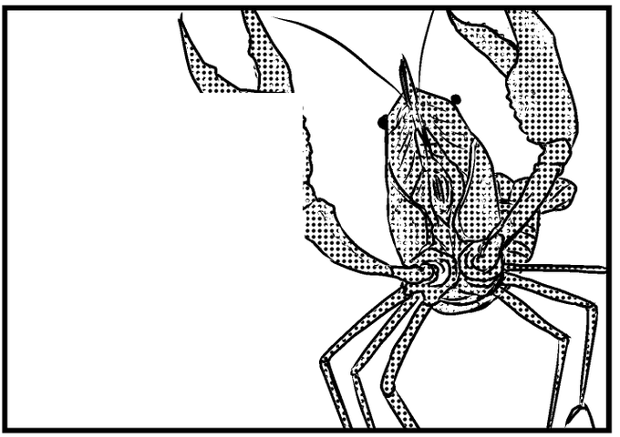 描きたいものを優先した結果、唐突にアメリカザリガニが出てきます。
! ! ! 唐 突 な ア メ リ カ ザ リ ガ ニ ! ! ! 