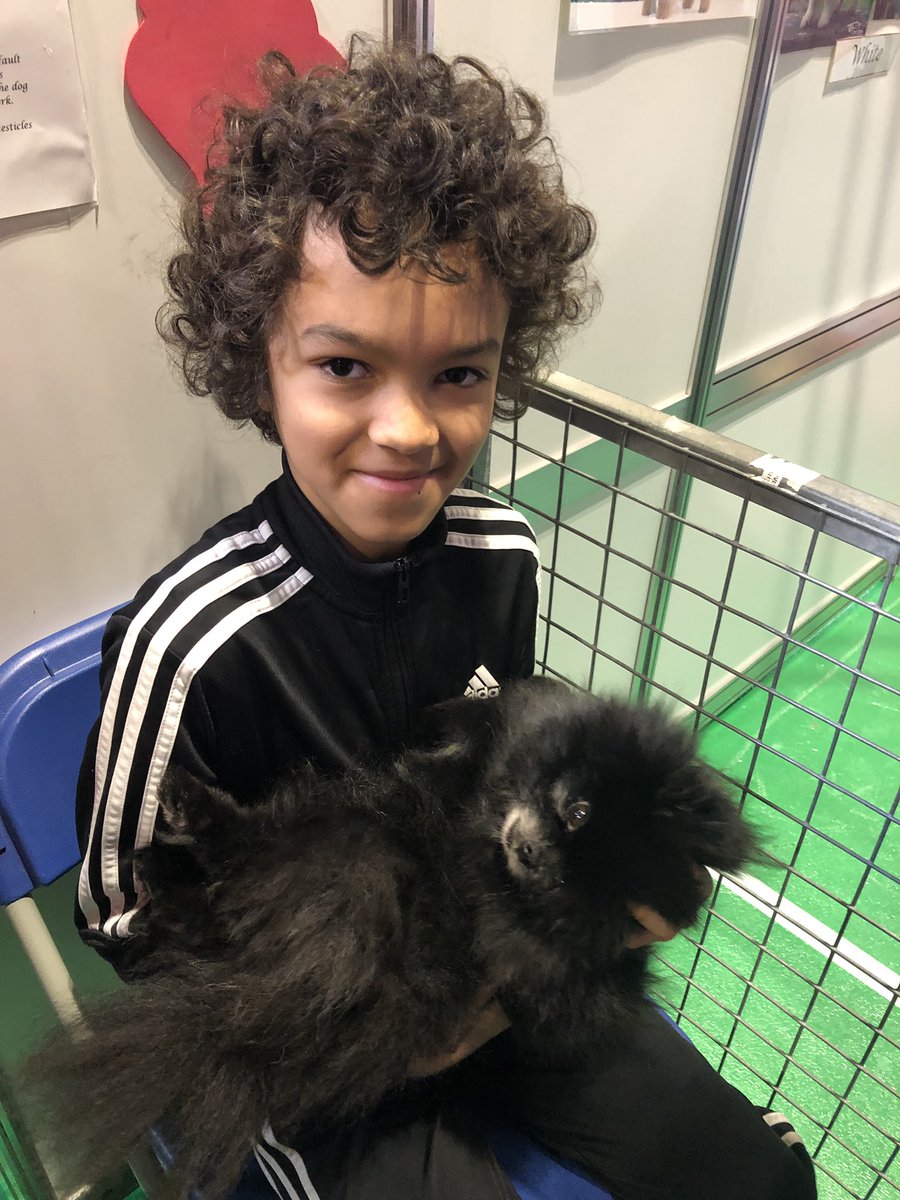 warrenpazza's tweet photo. Loving #Crufts2019 #cruftsscreen https://t.co/CP5UsQqRAN