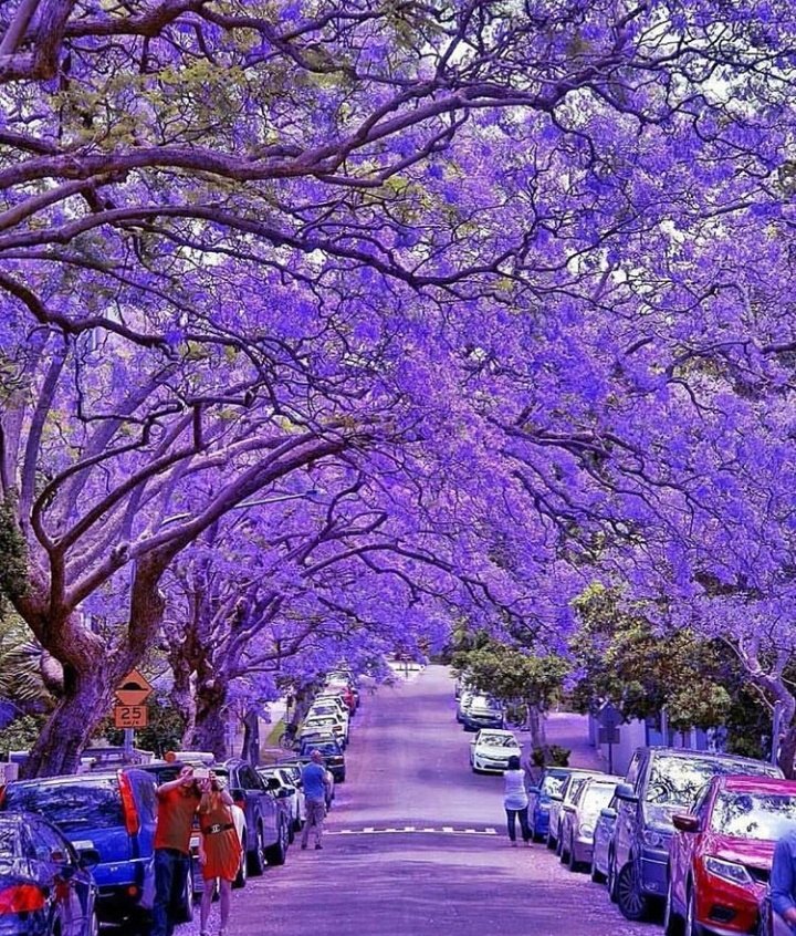 anie1215's tweet image. #Amazing 
#Beautifulcolor

Australia 🤗