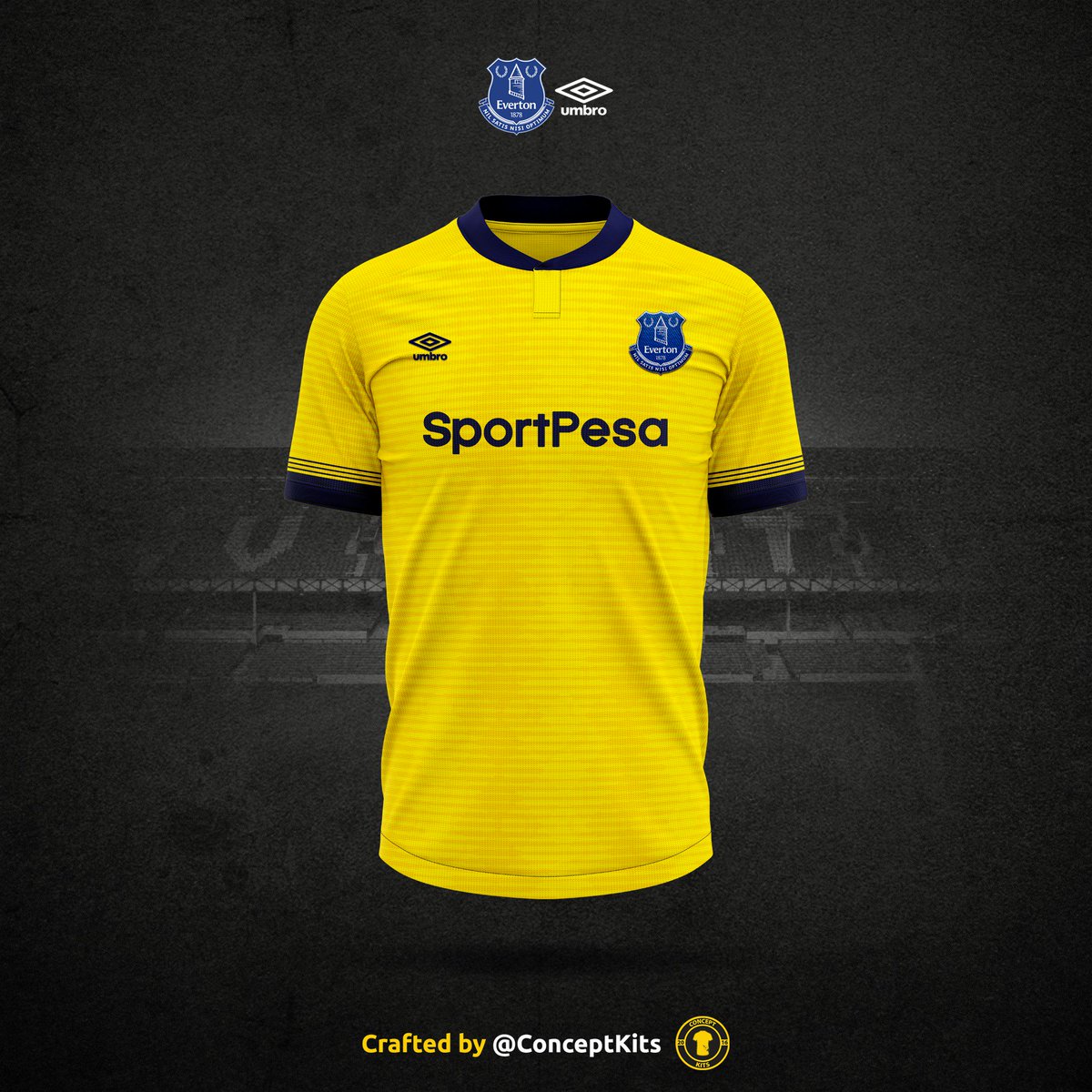 27+ Everton Fc Kit Pics