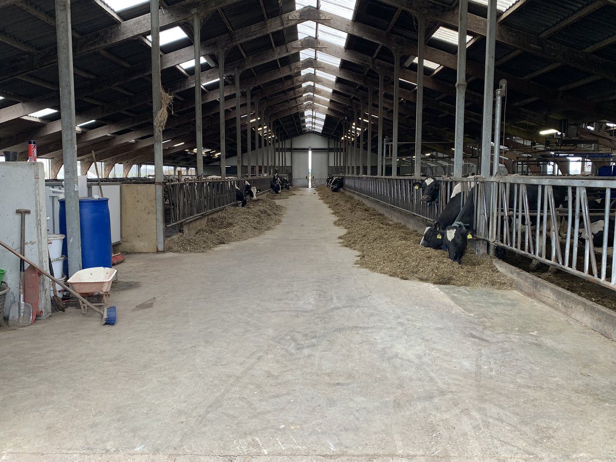 CUjongerenBrabo's tweet photo. Nu samen met @CUSGPbrabant op bezoek met minister @carolaschouten van @minlnv bij een #veehouderij #boer #boerenhorenbijbrabant #brabant #beleid #boeren #kringloopboer #voedsel #kringloop #zaterdag https://t.co/B5SIJTpePl