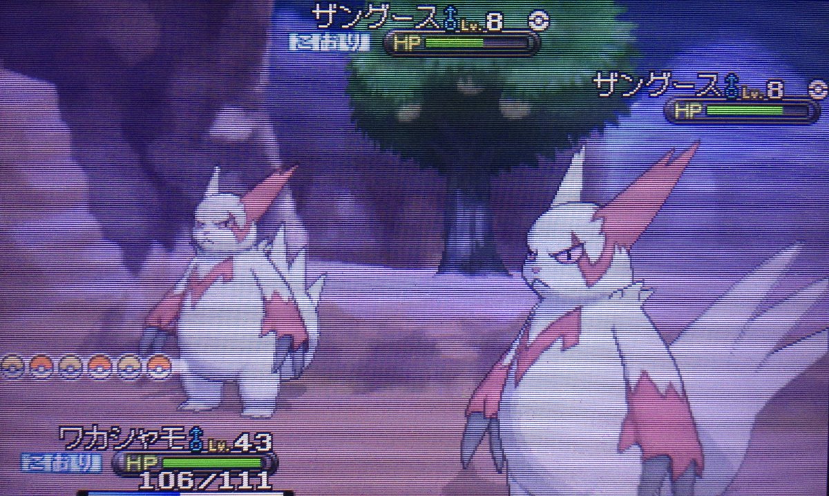 若草 剣盾にもザングースは出てくるのかなぁ こおってしまってうごかない T Co Wqndzfsb1q Twitter