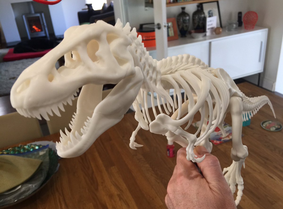 1manscan's tweet photo. Finished at last. #3dprinting #3dprinter #3dprinted #3dprint #trex #dinosaur #formlabs #formlabsform2 https://t.co/2ZfLoTTi0o