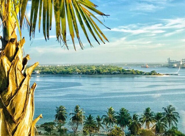 MyDaressalaam's tweet photo. Time to reflect on the beauty of Dar-es-Salaam!  💙🌴💦🇹🇿 Happy weekend all...
#daressalaam #tanzania #weekendvibes 

📸: mu_bah on IG https://t.co/3tE9zcUUIs