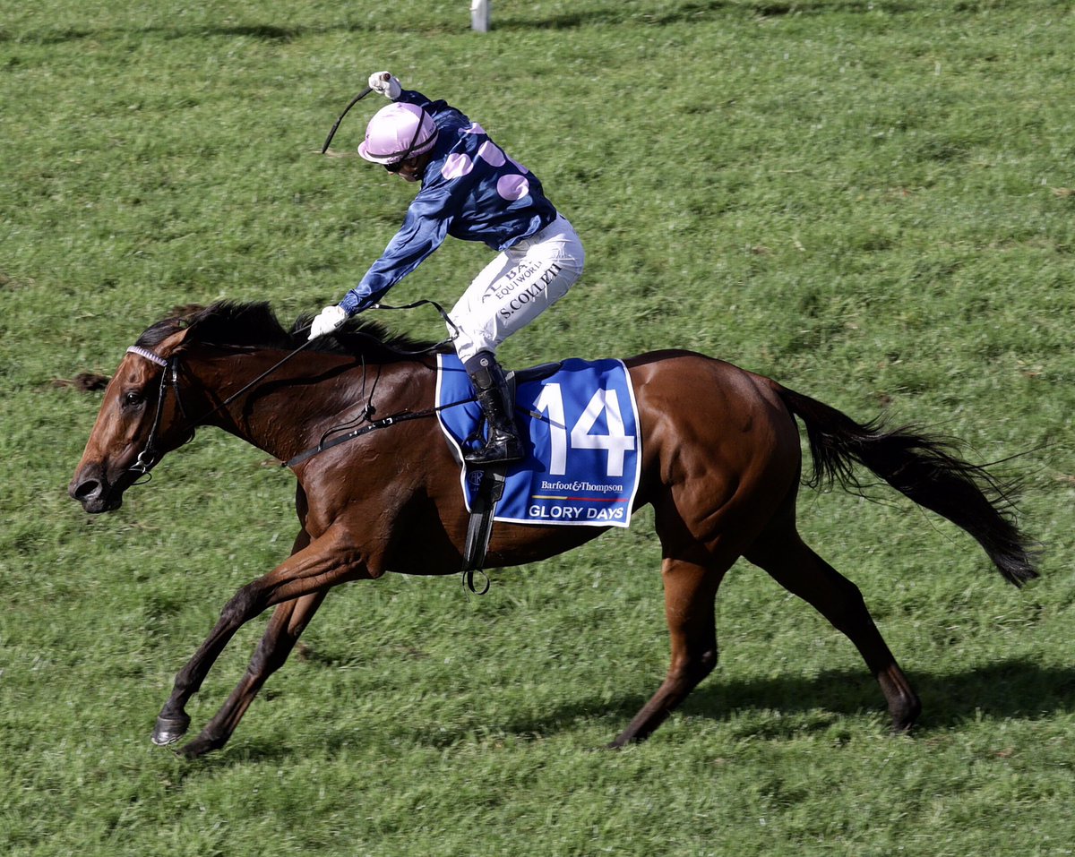 DAprNZ's tweet photo. That there is a Group One winning salute! πββοΈ #SamC #GloryD #AucklandCup ππ¨ @Ellerslie_Races Pic: Trish Dunell https://t.co/dX3bhch53k