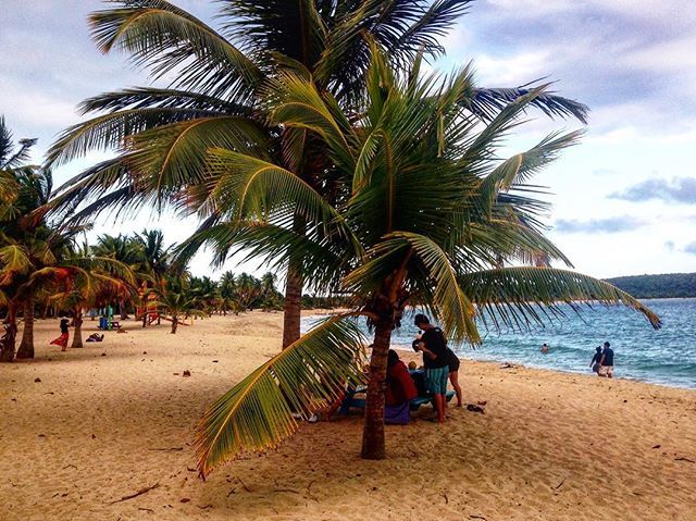 reallifewithdad's tweet photo. What’s your favorite beach? This gem in Ensenada Sun Bay on Vieques might be my favorite in all the Caribbean.
#beachvibes #familyadventure #adventurefamily #dadsofinstagram #getoutside #vacation #budgettravel #budgettraveler #caribbeanvacation #caribb… https://t.co/EfGdggvlFH https://t.co/Y5Yrb7TfaZ