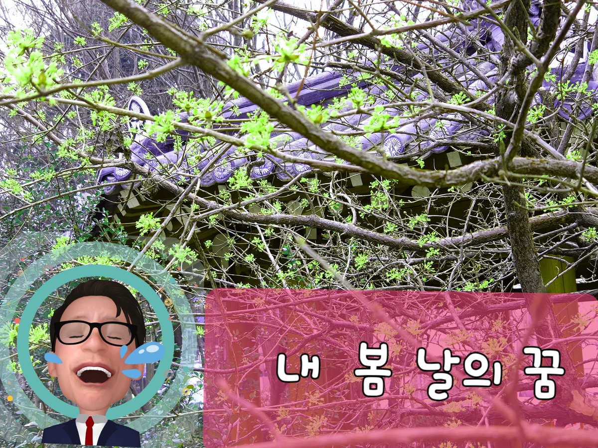 sky8899's tweet photo. 새 봄날을... https://t.co/no5NMQiqLu