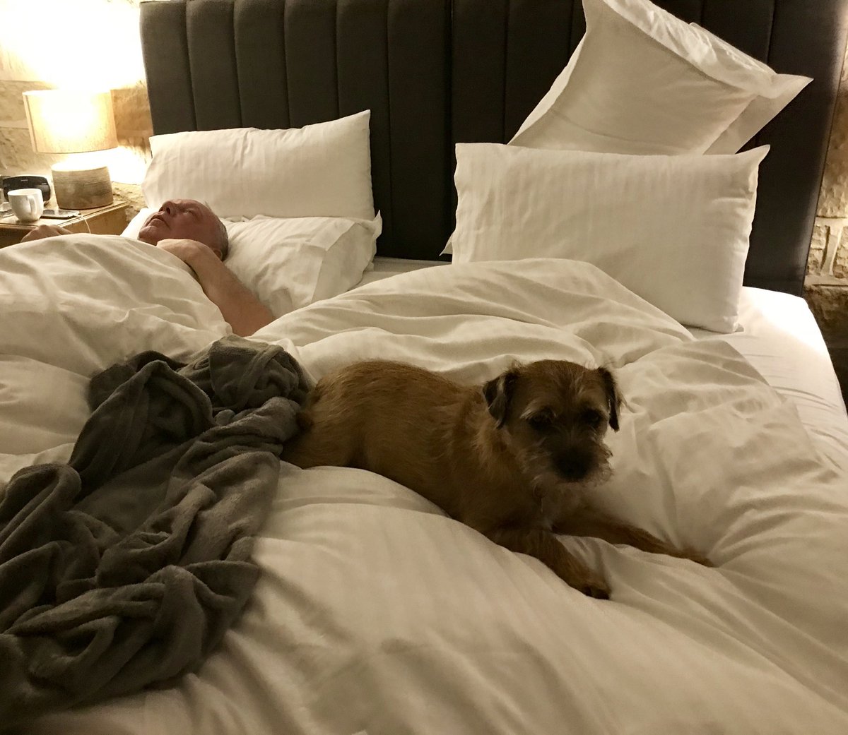 redthebt's tweet photo. #bedhogging in da holibobs cottage https://t.co/I3tcXvpyuS