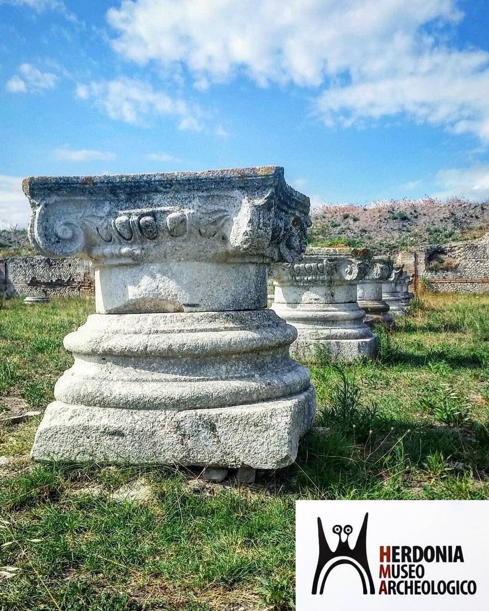 'HERDONIA: UN GIOIELLO DEL TERRITORIO'
▪
Ringraziamo @jap_92 per questo scatto!📸
▪
#Herdonia #parcoarcheologico #Ordona #Puglia #culturalheritage #roman #archaeologicalsite  #romanruins #architecture #oldplaces #archeologicalsite #romanarchitecture #capitelli #herdoniamuseo