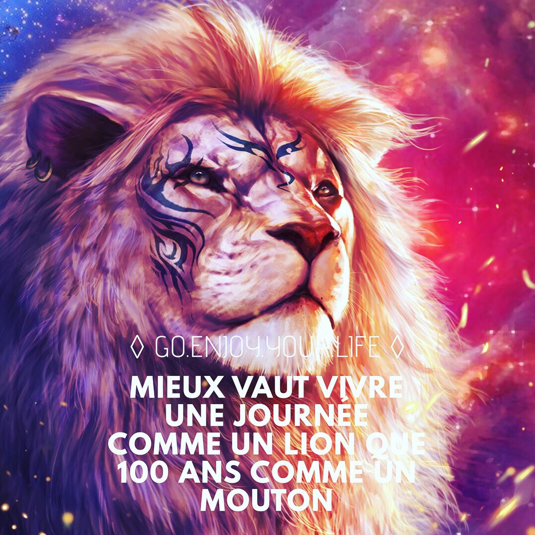 #citation #phrasedujour #motivation #frenchquote #developpementpersonnel #success #reussite #education #personnel #ambition #joie #vietavie #objectif #citationdujour #entreprenariat #confianceensoi #positivité #penseepositive #liberte #richesse #savoir #argent #meilleurversion