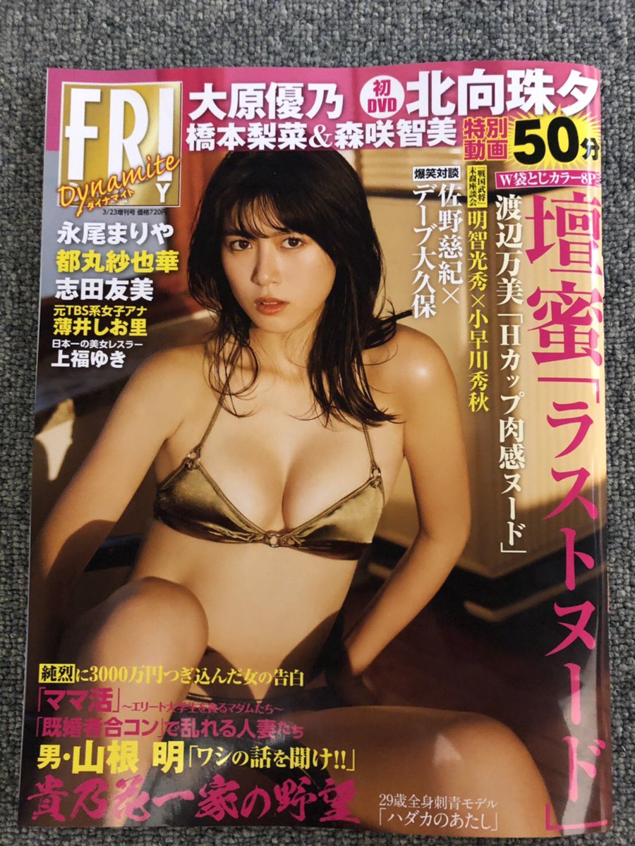新品本物 壇蜜 パチンコ 等身大 ポスター セクシー女優 アイドル
