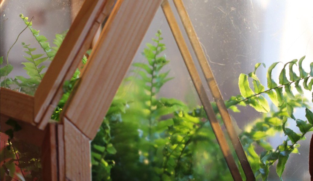 Pour préparer vos semis, fabriquez une serre en bois d'intérieur [DIY] <a href="/castorama_fr/">Castorama</a> #agricultureurbaine #monpetitbalcon monpetitbalcon.fr/blog/2019/03/0…