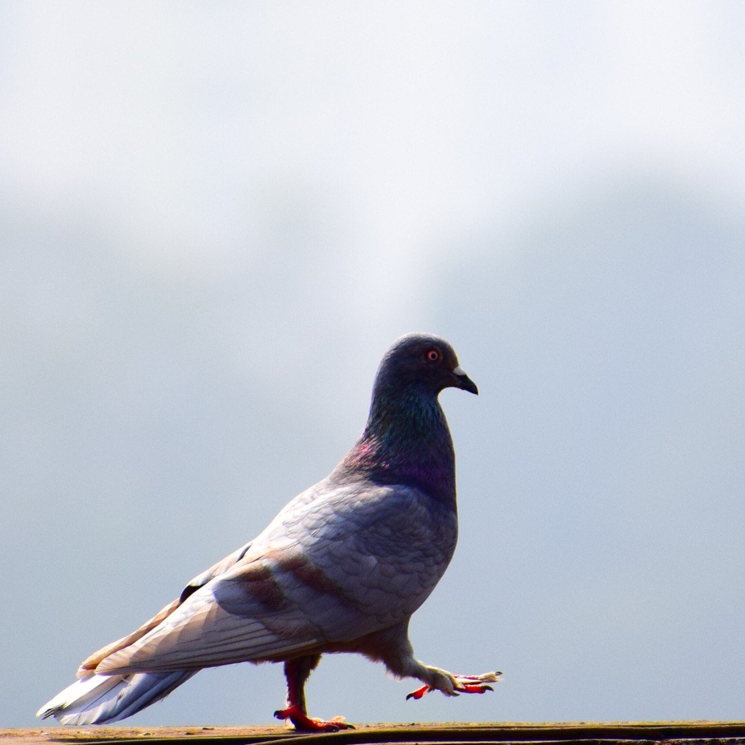 trinity_efc's tweet image. Going the extra mile - Step by step

Don't miss this weeks sermon topic! Come learn with us at 9am or 10:45am in Big Rapids or 10:45am in Newaygo

#peaceinlife #peaceinrelationships #journeytopeace #thepeaceinitiative #tfefc