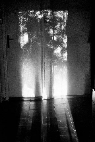 <a href="/f77w7/">Fahad Al Anqari</a> دفّء أشعۃ شَمس 
شِفّاة تهذي همس
كل شيء يُذكّر وٓ يُذكّر  ..
بوجود ( نبضٍ ) يُغرق صباحي حُب
صبآحي 
رجُل نفىٰ بني آدم جميعُهم 
وأستوطّن عرشَ قلبي