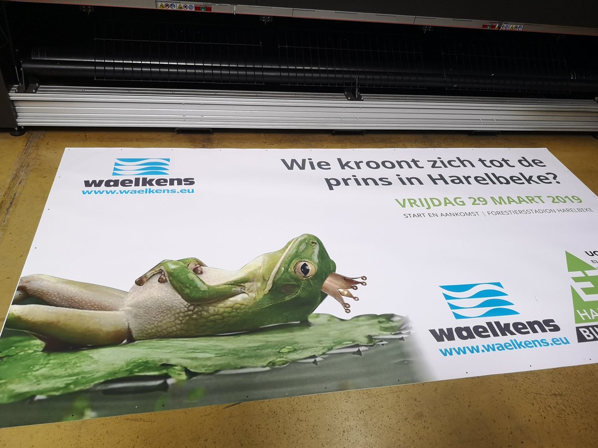 Valendum's tweet image. Nieuwe banner @E3Harelbeke voorgesteld, met 'brave' kikker in de hoofdrol @HLN_BE