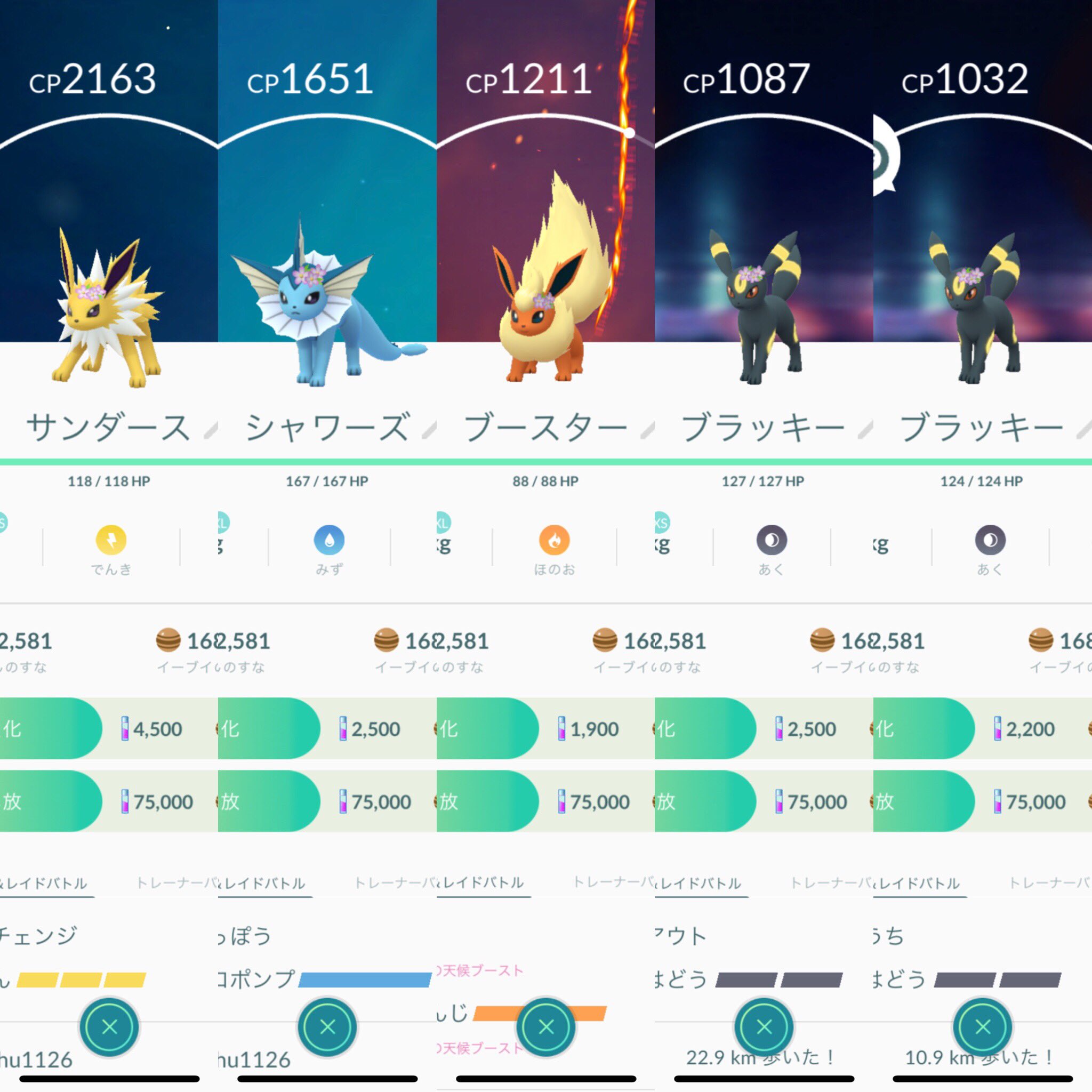 Magurooo 間違えてブラッキーに進化させちゃった もうお花イーブイいない ゚ ゚ D ゚ ゚ ポケモンgo ポケ活 イーブイ お花イーブイ サンダース シャワーズ ブースター ブラッキー エーフィ Magurooo 間違えてブラッキーに進化させちゃった もうお花イーブイいない ゚ ゚ D ゚ ゚ ポケモンgo ポケ活 イーブイ お花イーブイ サンダース シャワーズ ブースター ブラッキー エーフィ