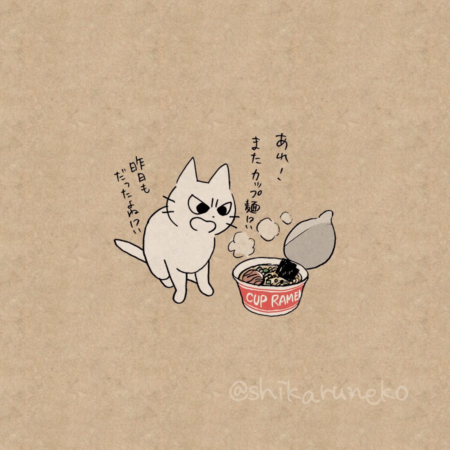 食事がカップ麺ばかりな人と、しかるねこと、あまやかすねこ 