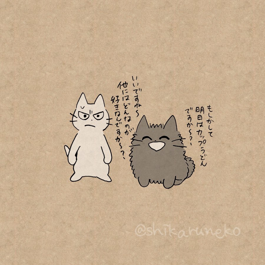 食事がカップ麺ばかりな人と、しかるねこと、あまやかすねこ 