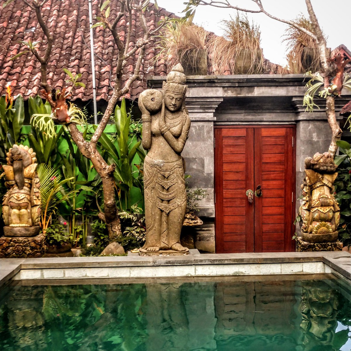 leescarter's tweet image. Ubud, Bali, Indonesia 🇮🇩

#travel #bali #ttot